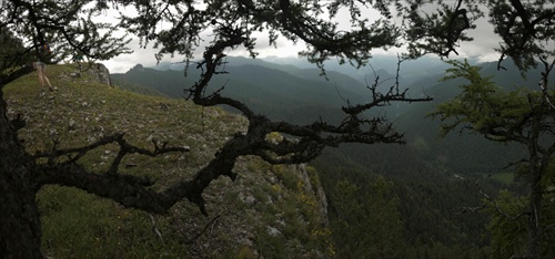 skalka pod Demänovskou horou