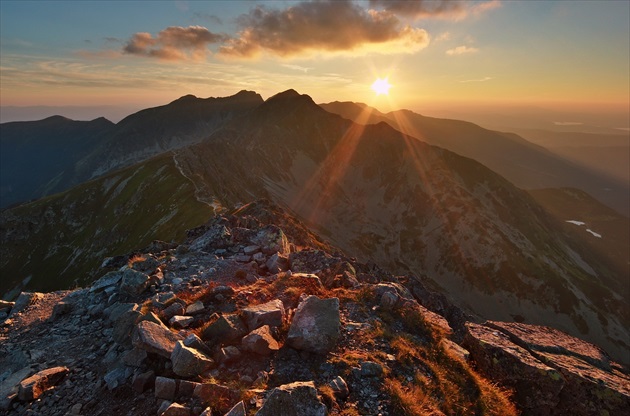 Dobrú noc,Roháče