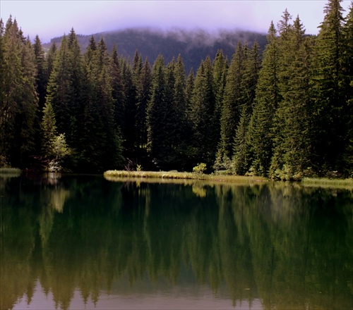 Vrbické pleso