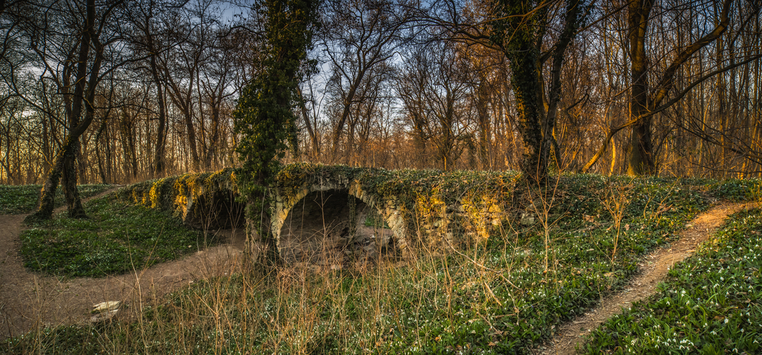 Jarovská bažantnica