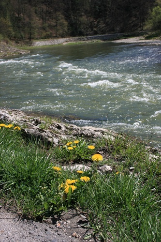 Pieniny