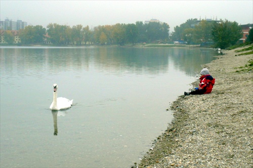 Idylka na prechádzke