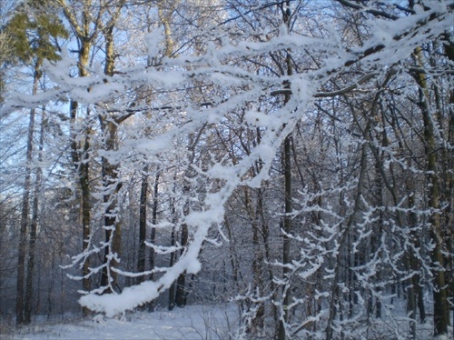 zasnežené