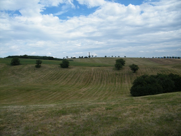 pokosená lúka