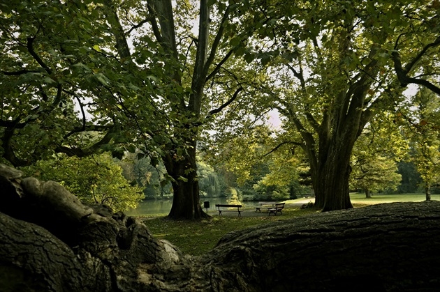 Zámocký park