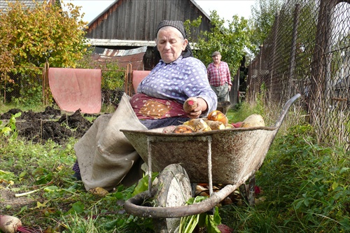 čistenie burbundie