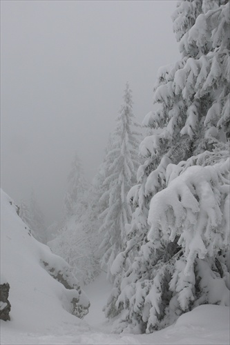 Štefanský výstup na Salatín 2008