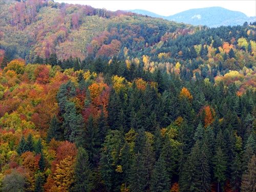 Poliačky - Slansky kopec