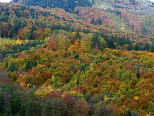 Poliačky - Slansky kopec