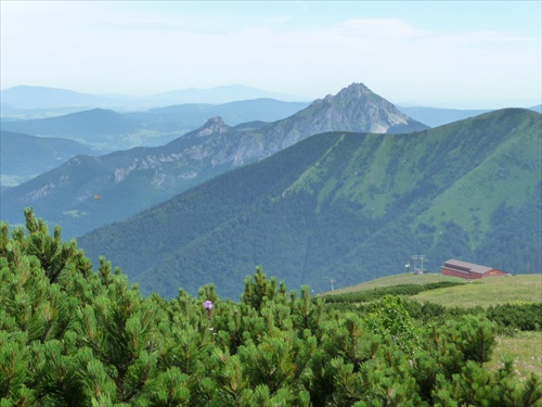 Veľký Rozsutec - Malá Fatra