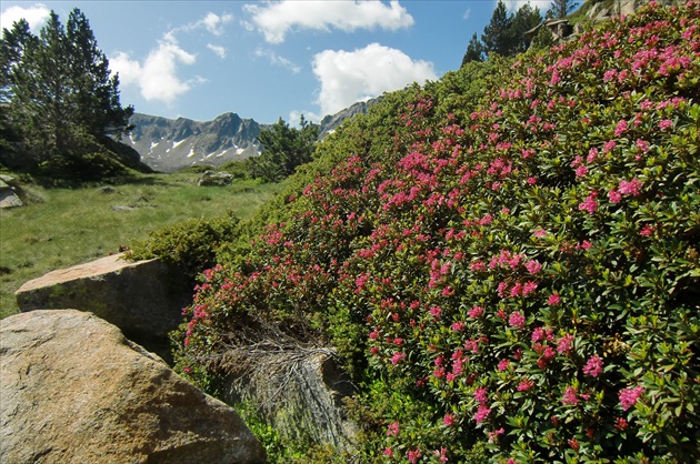 Andora, Pyreneje