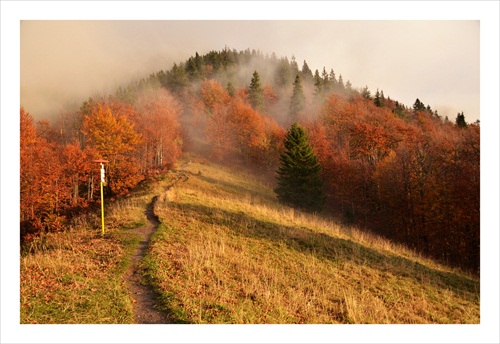 sedlo Príslop pod Suchým, Malá Fatra