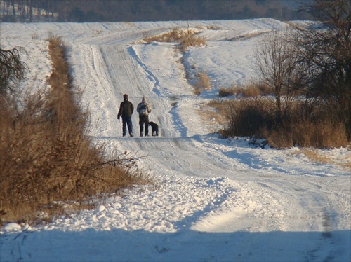 Kaposnký