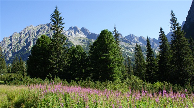 Tatry