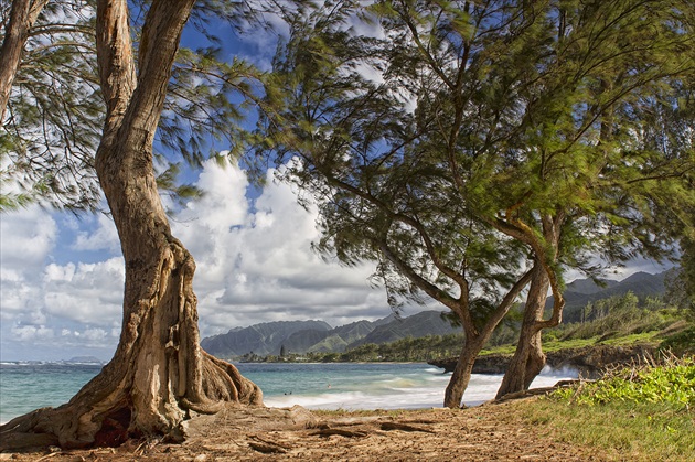 Beauty of Oahu