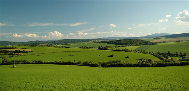 Cestou na Šariššký hrad