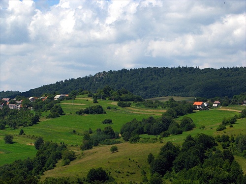 Lesné kráľovstvo