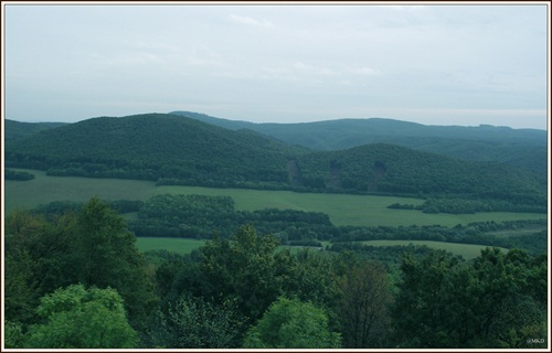 Podbradlanské kopanice (3)