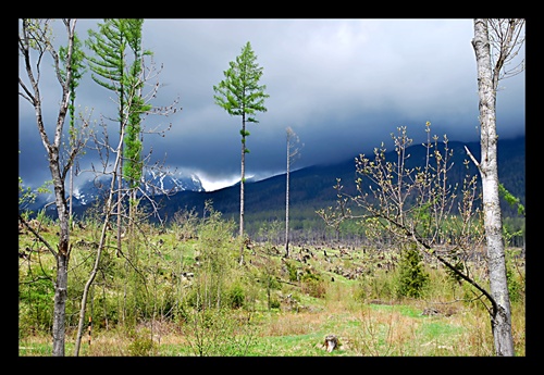 Tatry potrebujú svoj čas...