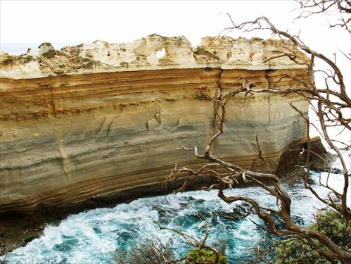 Razorback a Blowhole