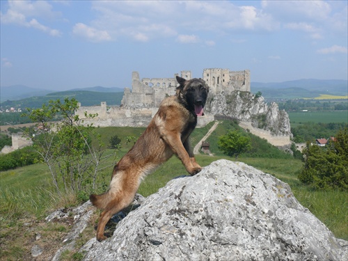 nielen becko v beckove sa po skalách driape