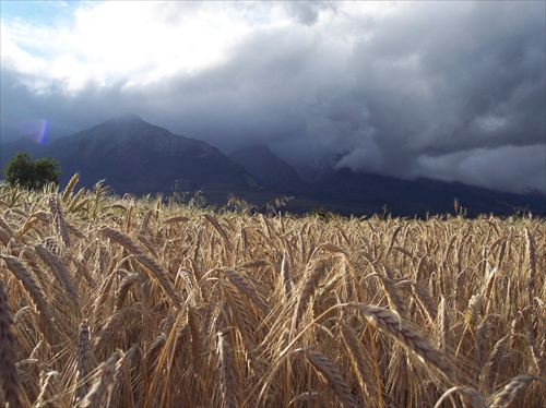 Tatry pred búrkou.