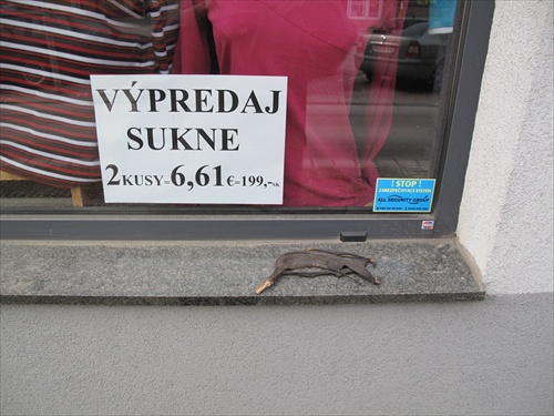 výpredaj sukne