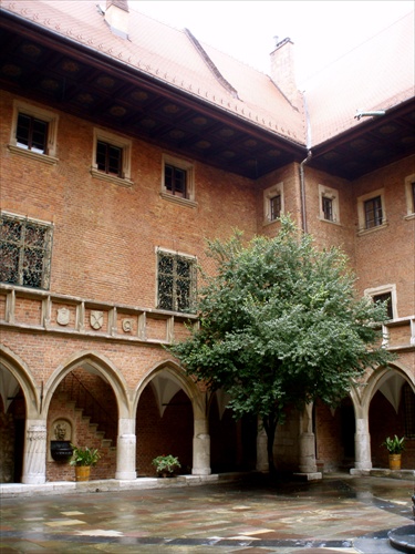 Collegium Maius