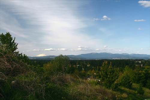 Mt. Saint Helens...