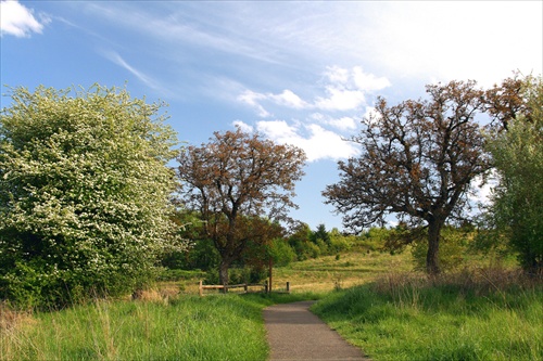 Powell Butte Nature Park...