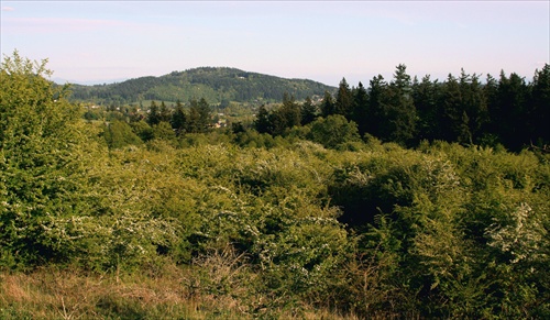 Powell Butte Nature Park...