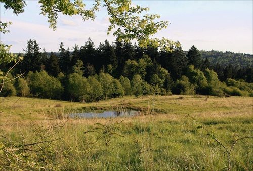 Powell Butte Nature Park...