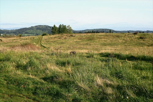 Powell Butte Nature Park...