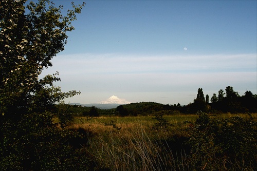 The Moon over Mt. Hood...