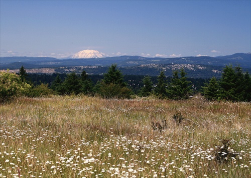 Pohlad na Sopku Mt. Saint Helens