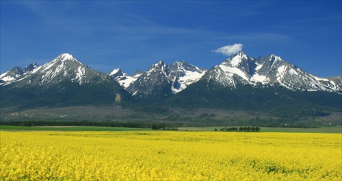 V.Tatry od Mlynice