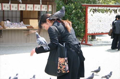 Kamakura