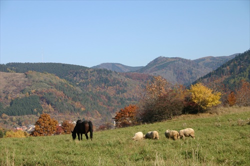 Maličké stádo