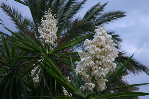 Mallorca