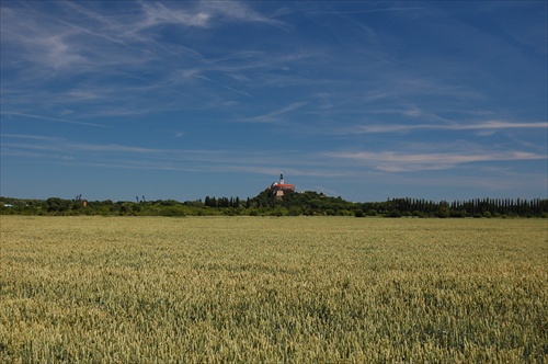 Nitriansky hrad