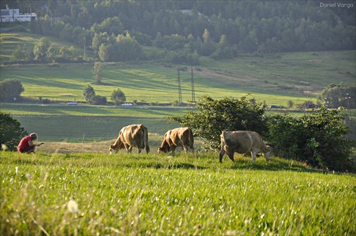 Dankové začiatky vo svete fotografie