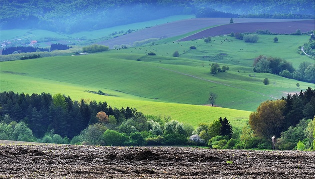 Čakanie na svetlo