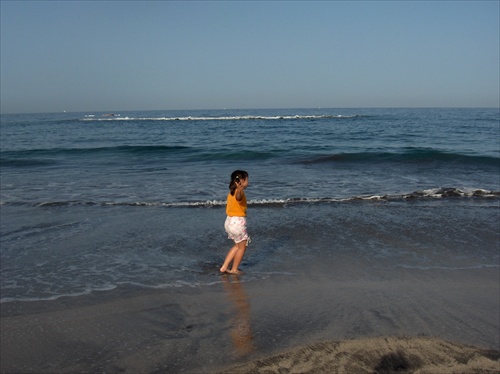 Playa de las Américas