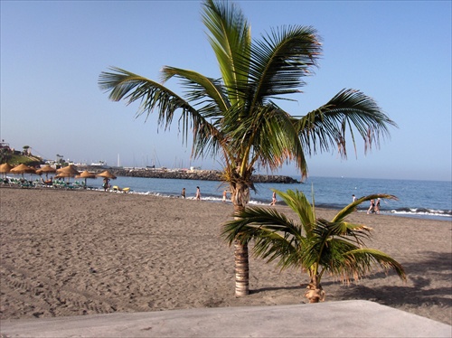 Playa de las Américas