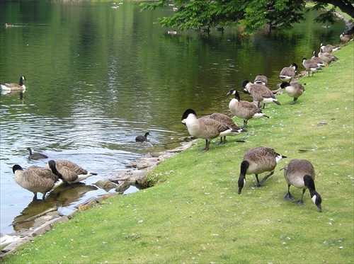 Hofgarten