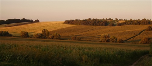 ...tie naše polia lapášske