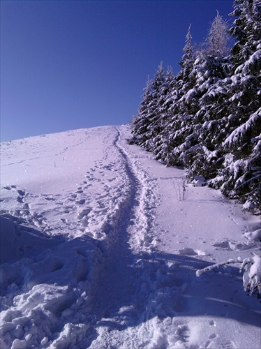 Winter path