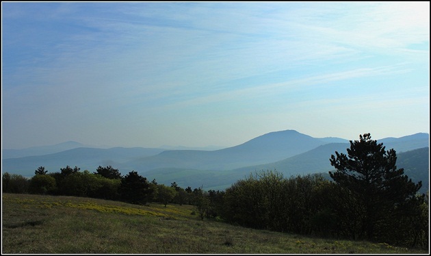 Žibrica