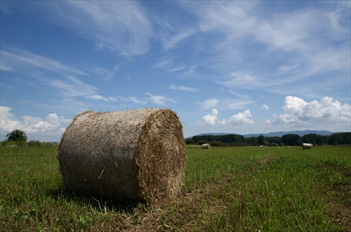 Po žatve