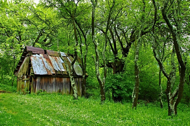 Vlkolínske zákutie